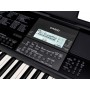 CASIO CTX800