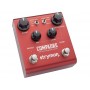 STRYMON Compadre