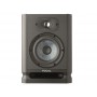 FOCAL ALPHA 50 EVO