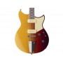 YAMAHA Revstar Professional RSP02T Sunset Burst