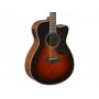 YAMAHA AC1M II Tobacco Brown Sunburst