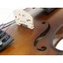 STENTOR Graduate Violin 4/4 (strumento Non Preparato)