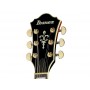 IBANEZ AG95QA DBS Dark Brown Sunburst