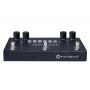 PIGTRONIX Infinity 3 Hi-Fi Stereo Double Looper