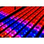 BEAMZ Lcb14 Led Bar 14x3ww+56 Smd Pixel