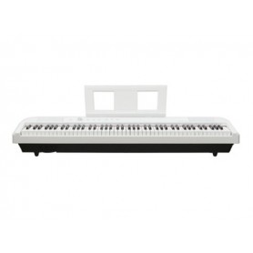 ECHORD DP1 White