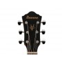 IBANEZ V40WSCE-OPB Open Pore Brown